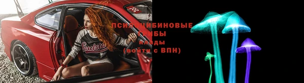 гашик Алзамай