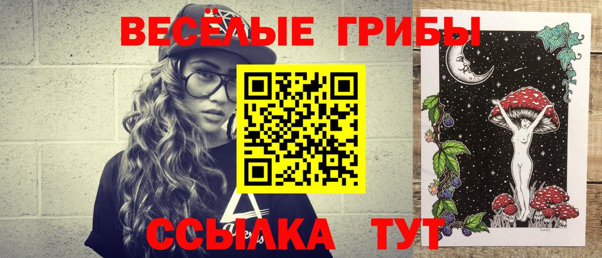 Псилоцибиновые грибы Psilocybe Арзамас
